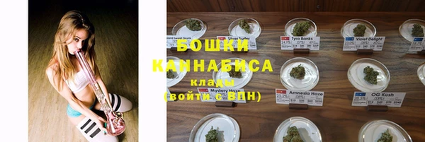 крисы Вязники