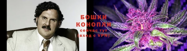 гидра Волоколамск