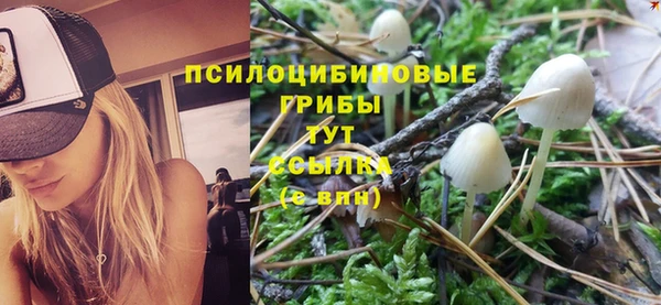 гидра Волоколамск
