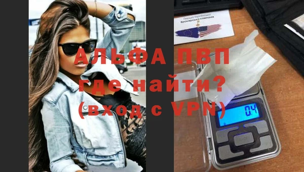 амф Вязьма