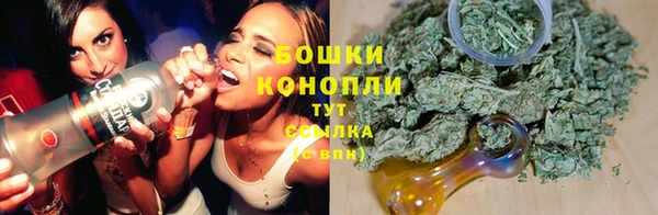 амф Вязьма