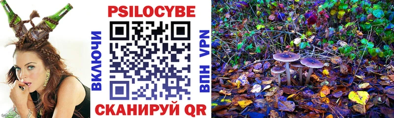 купить Магнитогорск Галлюциногенные грибы Psilocybine cubensis